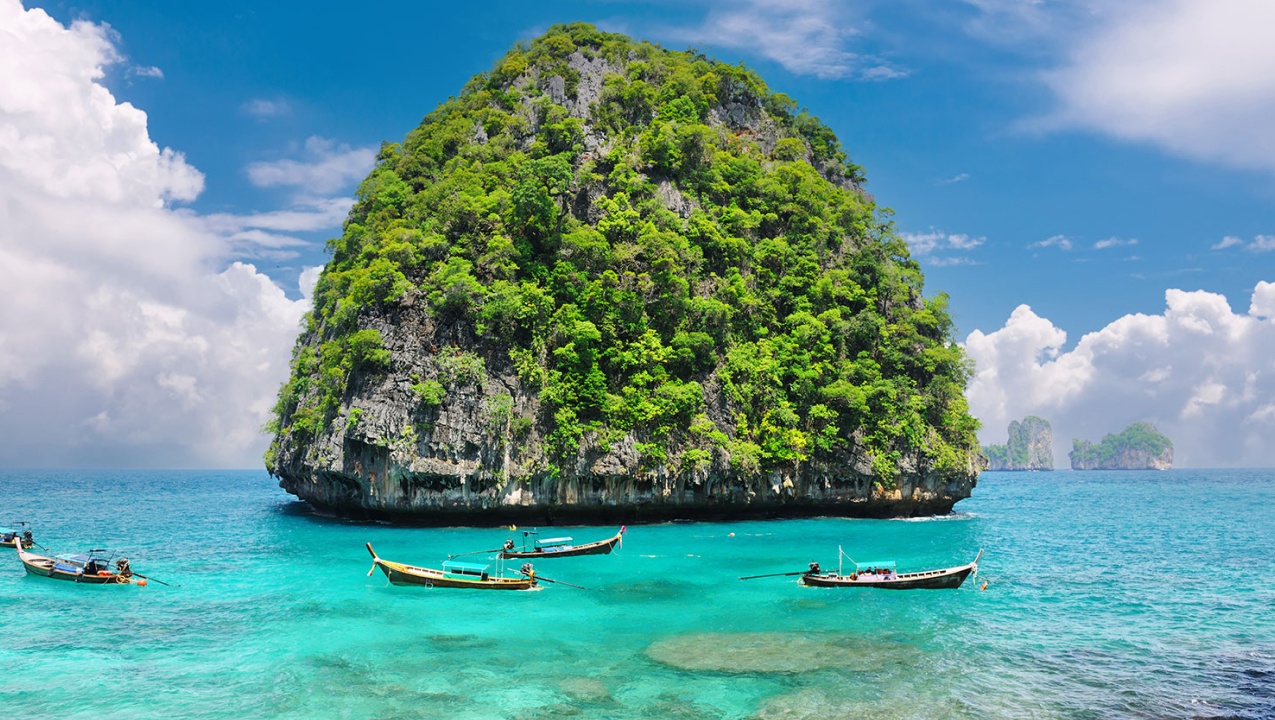 CS2 Player Statistics & Ratings